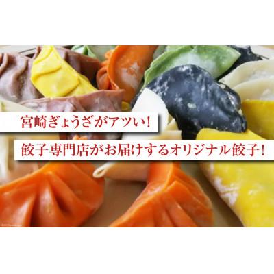 ふるさと納税 日向市 宮崎餃子 バラエティーセット 彩り・白・へべす 各15個 計45個 |  | 01