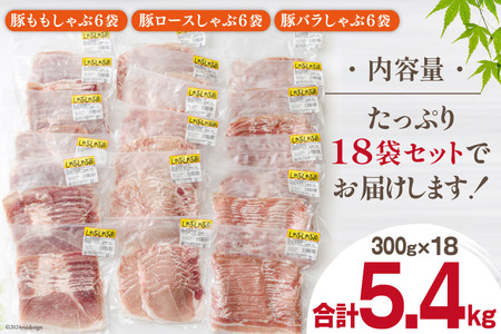 豚しゃぶ 豚肉 小分け ロース バラ モモ 食べ比べ セット ３種 各300g×6 合計5.4kg 冷凍 宮崎県産 豚肉 送料無料 しゃぶしゃぶ うす切り 薄切り スライス 鍋 豚肉 冷しゃぶサラダ 