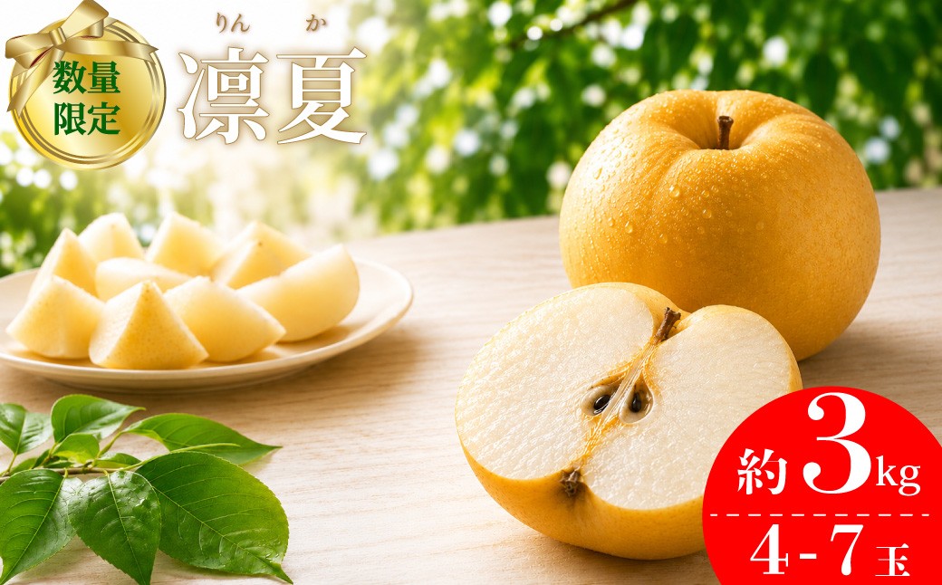 
                  【2026年8月中旬頃～発送予定】＜梨 凛夏りんか 約3kg 4～7玉＞ なし フルーツ fruit 高知県 佐川町 黒岩梨生産者組合  【期間・数量限定】
                
