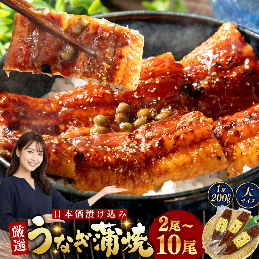 【ふるさと納税】厳選 うなぎ蒲焼 1尾約200g 2尾～10尾セット 【選べる容量】 職人 手焼き 真空 冷凍 パック 日本酒 北海道 厳選 ウナギ 鰻 うなぎ かばやき おかず グルメ 釧路市 送料無料