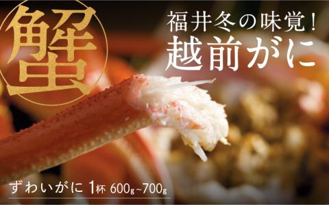 【先行予約！9月30日までの特別価格！！】【産地直送】福井の冬の王様！越前がに 1杯 (600～700g)