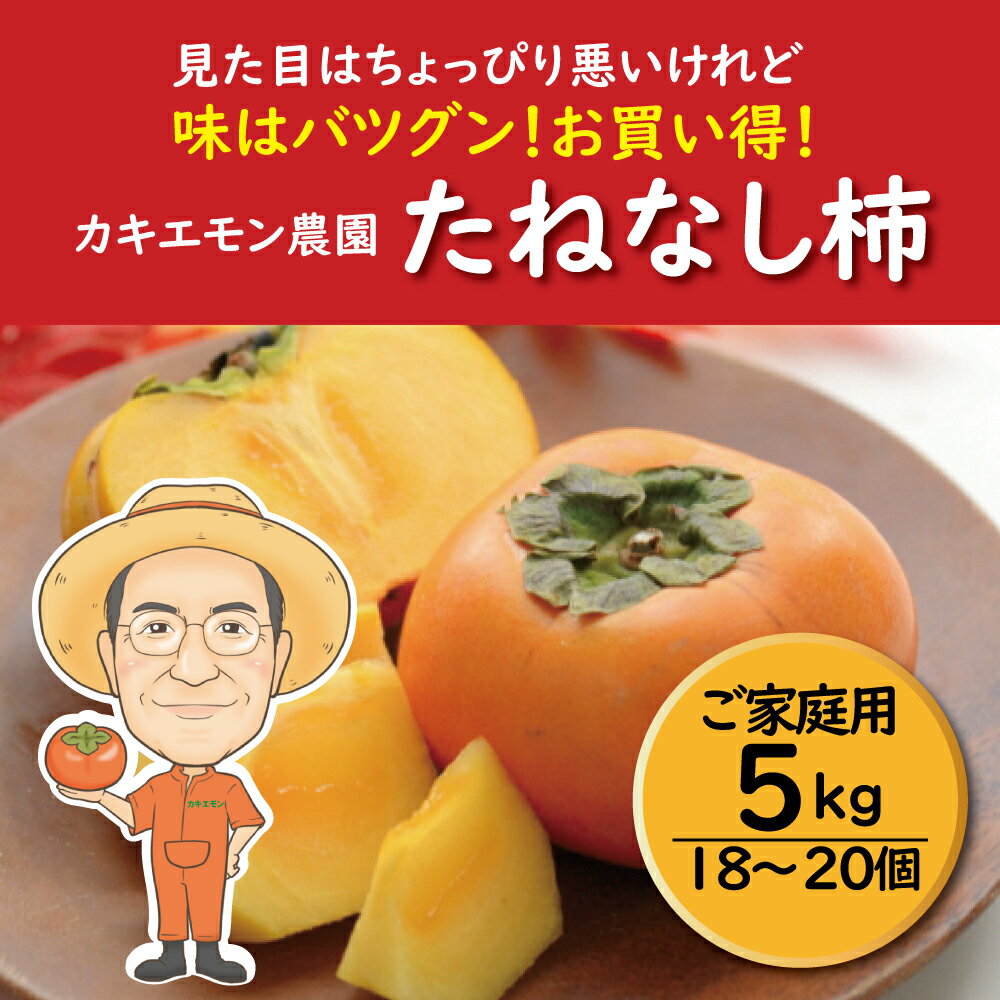 【ふるさと納税】 【訳あり・ご家庭用】たねなし柿 約5kg 18 〜 20個 カキエモン農園【2025年9月下旬〜10月末頃順次発送】 | 柿 かき フルーツ 果物 くだもの 食品 人気 おすすめ 送料無料 産地直送