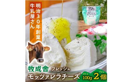 ＜牧成舎＞飛騨の牛乳屋さんが作った こだわりの フレッシュモッツァレラチーズ（100g×2個）| チーズ DF036
