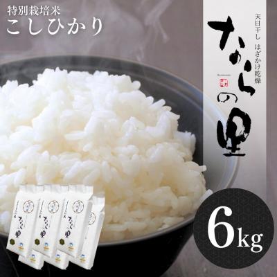 ふるさと納税 三条市 新潟県産コシヒカリ 6kg (1kg×6) 特別栽培米 令和7年産米【020P096】