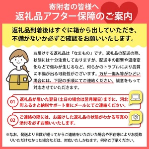 【令和7年産】白桃 品種おまかせ 2kg (6～8玉前後) ギフト箱入 秀品 山形県河北町産 【山形eLab】