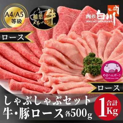 牛豚しゃぶしゃぶセット1kg(和牛ロース500g・豚ロース500g)【配送不可地域：離島・北海道・沖縄県・東北・中国・四国・九州】