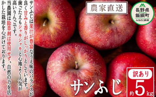 りんご サンふじ 訳あり 5kg 松澤農園 沖縄県への配送不可 2024年11月下旬頃から2025年2月上旬頃まで順次発送予定 令和6年度収穫分 長野県 飯綱町 [1286]