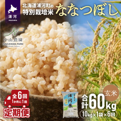浦河の特別栽培米「ななつぼし」玄米(10kg×1袋)定期便(全6回)[37-1174]