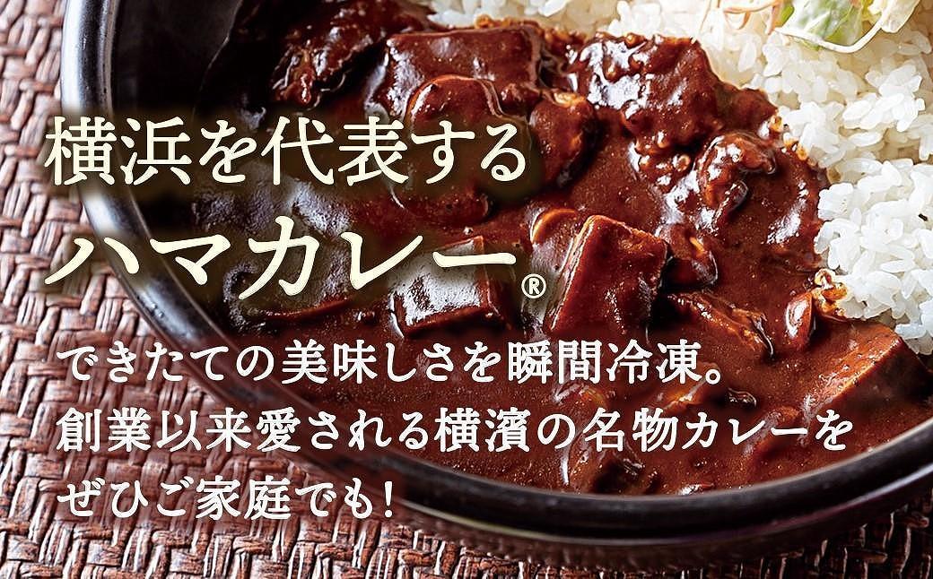 サンアロハ「ハマカレー?　ビーフ　230g×4個パック」