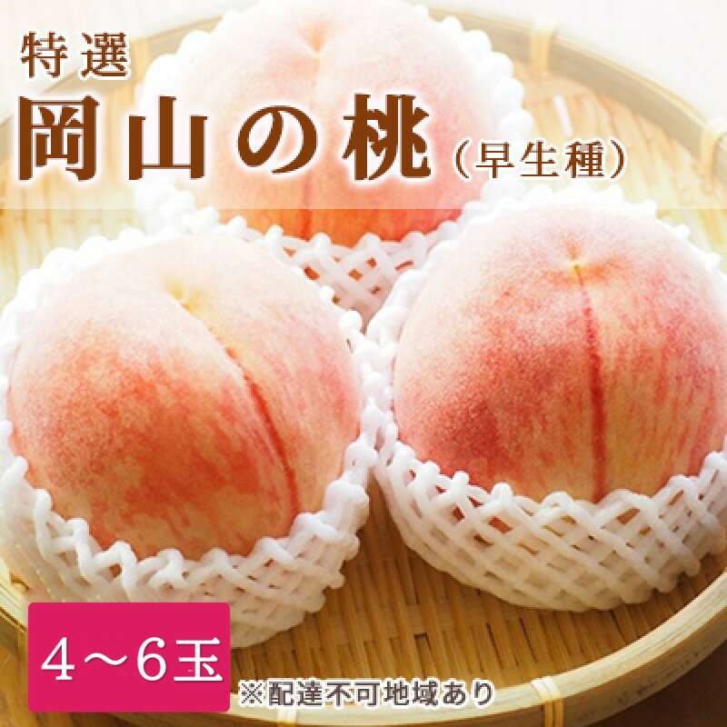 【ふるさと納税】桃 2026年 先行予約 特選 岡山の白桃 4～6玉 1.5k箱（正味内容量1.3kg以上）早生種 もも モモ 岡山県産 国産 フルーツ 果物 ギフト 白鳳 白桃 品種はお任せ お楽しみ お取り寄せ 季節の果物 　お届け：2026年6月下旬～2026年7月中旬