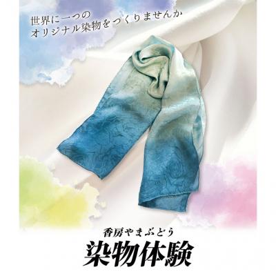 ふるさと納税 南阿蘇村 染物体験 (染めたいものを持参) 香房やまぶどう《30日以内に出荷予定(土日祝除く)》