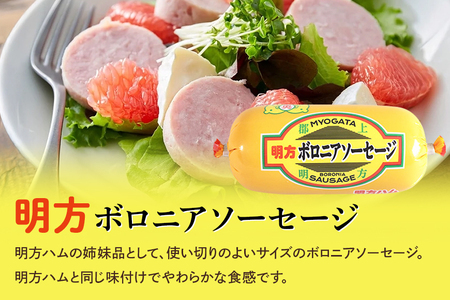 明方ハム Bセット │ 国産 豚肉 肉 惣菜 おかず 弁当 おつまみ ステーキ A12-004