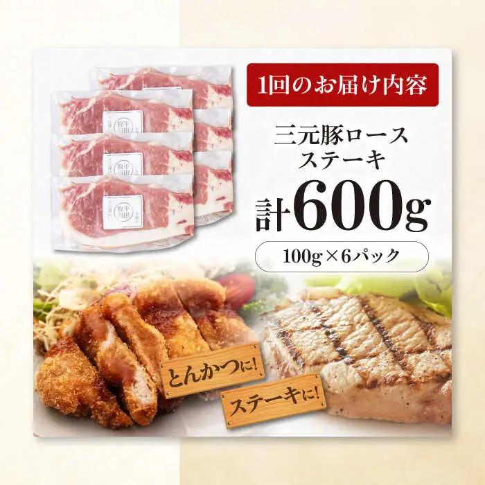 【全2回定期便】平田牧場 ロース ステーキ 600g  (100g×6枚) ※藻塩ナシ 豚肉 とんかつ 生姜焼き[AJAP086]
