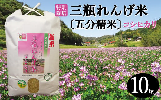 〈五分精米〉特別栽培 三瓶れんげ米 コシヒカリ 10kg【令和6年産 先行予約 こしひかり お米 10kg 2024年産 特別栽培米 五分精米 1等米 無化学窒素肥料 減農薬米】