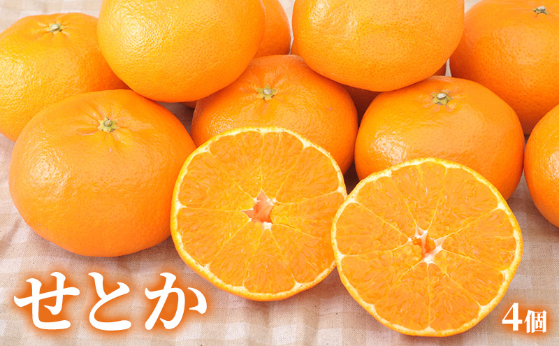 【2026年2月発送】 旬のフルーツ詰合せ いちご＆せとか 紅ほっぺまたはきらび香 約260g1パック せとか4個約800ｇ 柑橘の最高峰 苺 ミカン 蜜柑 【配送不可：離島】 フルーツセット 静岡 