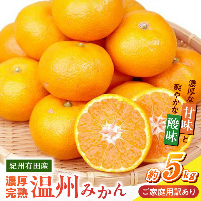 【ふるさと納税】【限定】【2026年11月下旬より発送】紀州 有田産 濃厚甘熟 温州みかん 5kg 【家庭用 訳あり】 【ミカン 蜜柑 柑橘 温州みかん 有田みかん 和歌山】