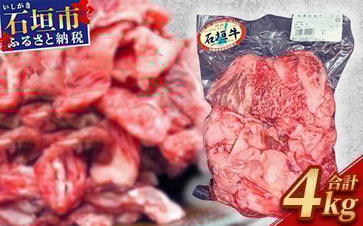 石垣牛・牛すじ ４kg （1kg×４） 冷凍便【 沖縄県 石垣市 牛肉 お肉 牛スジ 牛筋 煮込み おでん カレー 】 SI-87