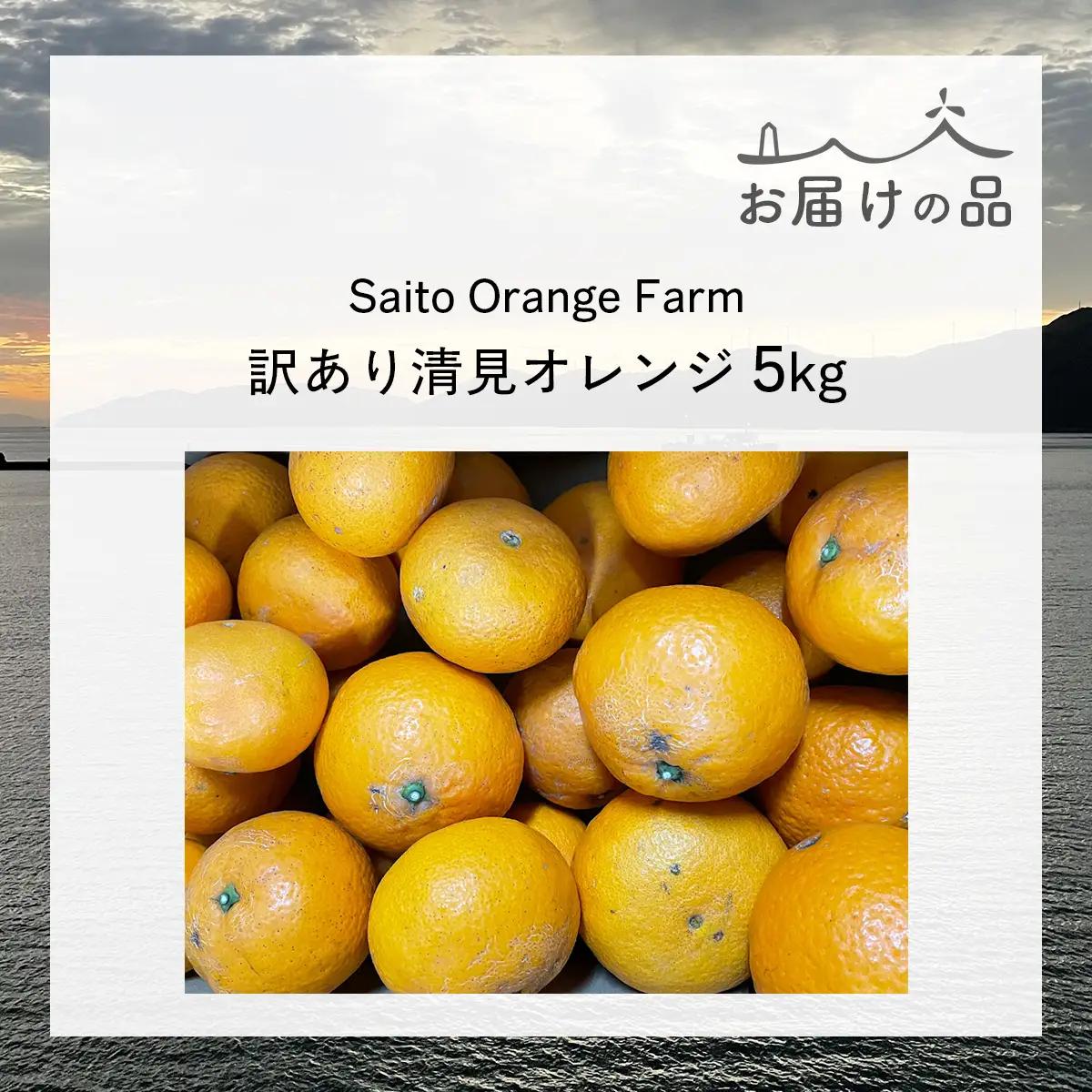 【先行予約】Saito Orange Farmの訳あり清見オレンジ5kg（2027年3月中旬頃より順次発送予定） IKTAQ009