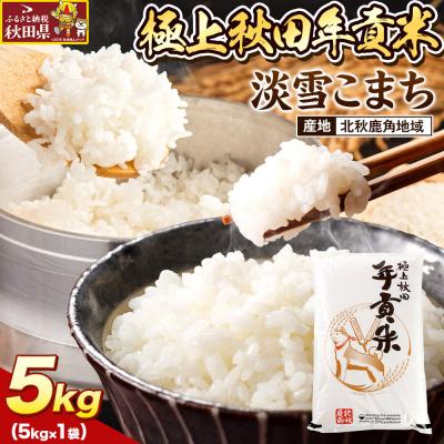 ふるさと納税 秋田県 米 極上秋田年貢米  淡雪こまち 北秋鹿角地域 5kg |25_jst-030501a