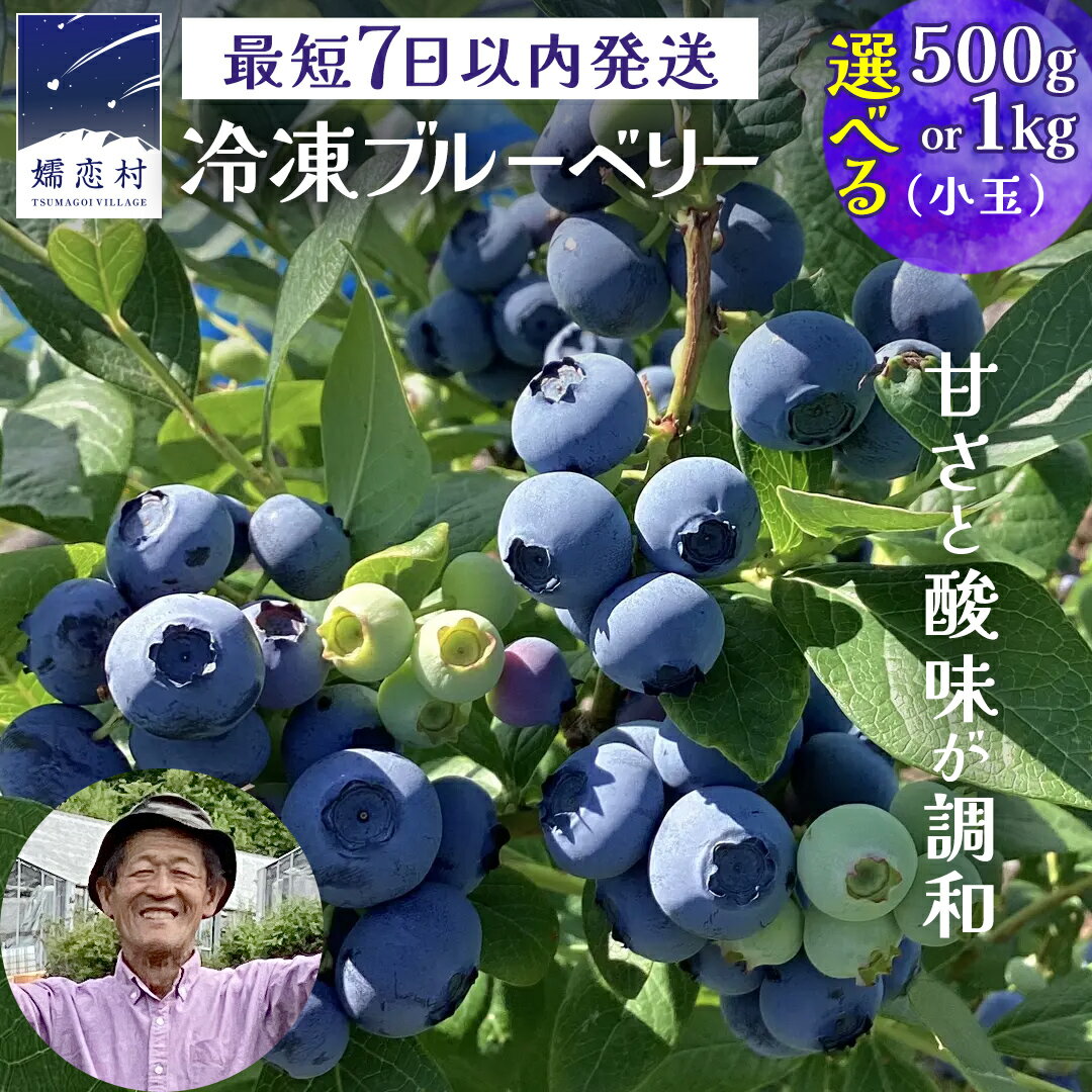 【ふるさと納税】 【 最短 7日以内 発送 】 冷凍 ブルーベリー 小玉 1kg or 500g 選べる内容量 数量限定 中粒 国産 フルーツ スムージー 果物 くだもの 農家直送 スイーツ アイス ノーザンハイブッシュ系 ミックス