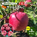 【ふるさと納税】先行予約【12月発送】盛岡市産 田村ふぁーむ 家庭用 完熟 サンふじ りんご 約3kg（6～10玉）　 果物類 フルーツ デザート 果汁 甘い 酸味 バランス 完熟 人気 美味しい 高糖度 　お届け：2024年12月1日～2024年12月25日