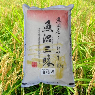 ふるさと納税 十日町市 【令和7年産】魚沼産コシヒカリ自信作　10kg