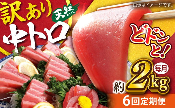 
            【全6回定期便】【訳あり】天然 まぐろ 中トロ（約2kg） マグロ 定期 鮪 まぐろ 中とろ 刺身  定期便【横須賀商工会議所 おもてなしギフト事務局（本まぐろ直売所）】 [AKAK054]
          