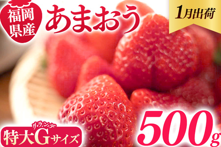 福岡県産 あまおう 500g （250g×2パック） いちご 1月中発送 いちご 苺 フルーツ 果物 くだもの 大粒Gサイズ グランデ 農家直送 大粒 不揃い 福岡県 福岡 九州 グルメ お取り寄せ