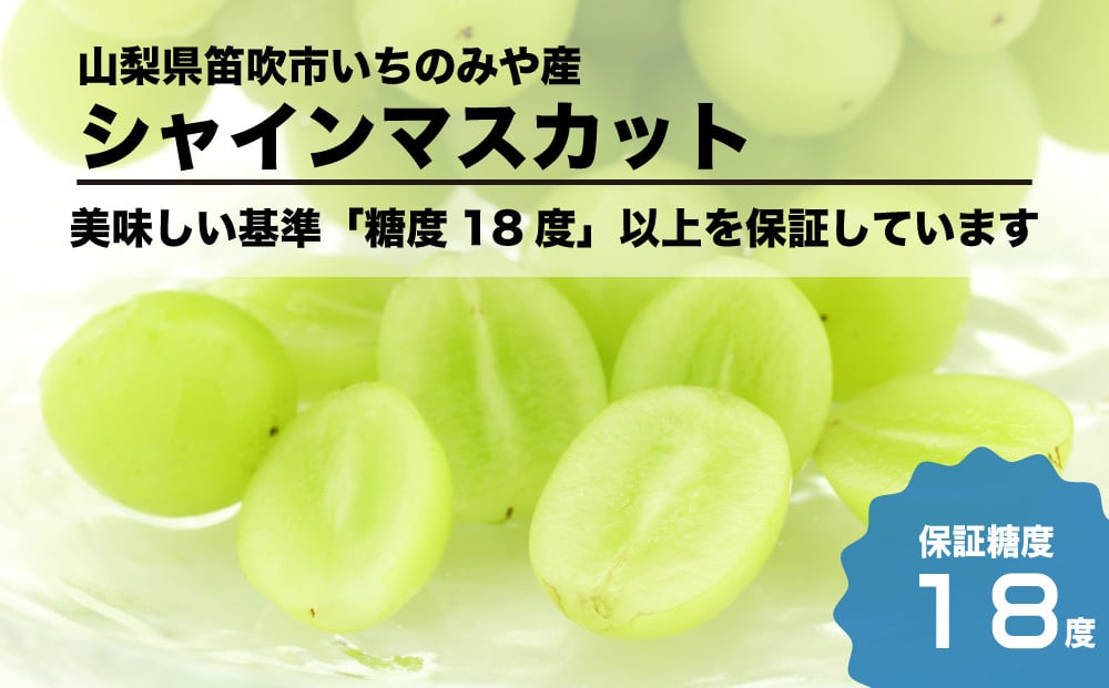 17度以下のシャインマスカットは美味しくありません。だから糖度18度以上のシャインマスカットのみを選び抜いてお届けしています！