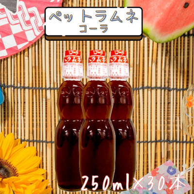 
ペットラムネ　コーラ(250ml×30本)【1394699】
