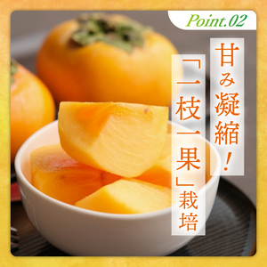 【2026年10月上旬より順次発送】【数量限定】太秋柿 約2kg（6-8玉）【フルーツ 果物 柿 甘柿 完熟 くだもの デザート おやつ 水戸市 茨城県】（MA-4）