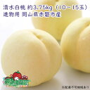 【ふるさと納税】桃 2024年 先行予約 清水 白桃 約3.75kg 10～15玉 進物用 もも モモ フルーツ 果物 岡山 赤磐市産 農マル園芸 あかいわ農園　【果物 もも 桃 フルーツ 白鳳 家庭用 3.75キロ】　お届け：2024年7月中旬～2024年8月上旬