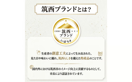 【 JA北つくば 】 黒こだますいか 「 誘惑のひとみ 」 4~5玉
