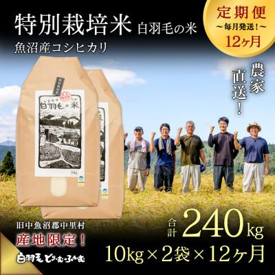 ふるさと納税 十日町市 【毎月定期便】農家直送!魚沼産コシヒカリ特別栽培 精米(10kg×2袋)全12回