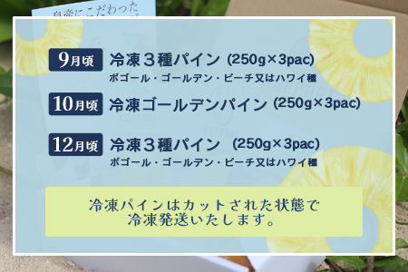 石垣島冷凍パイナップル6回定期便 EF-12