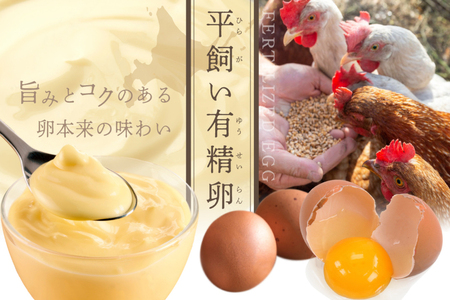 【定期便】絶品 濃厚 ！ 生キャラメルプリン 6個入 × 12ヵ月【全12回】