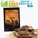 【ふるさと納税】中標津産乾燥椎茸 10g×2袋 計20g　なかしべつ観光協会バージョン ｜ 椎茸 セット ポストカード 2000 2000円 乾燥椎茸 北海道 ふるさと納税 オンライン申請 ワンストップ マイページ 中標津町 出汁 風景 セ【32008】