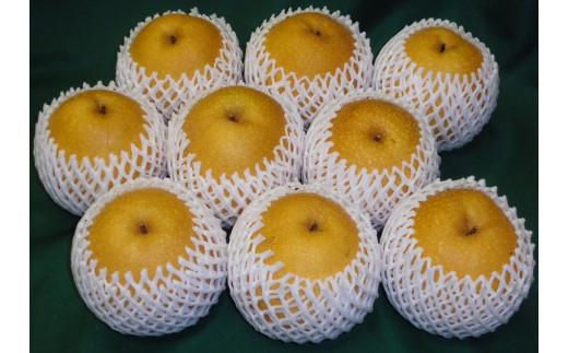 王秋梨 5kg箱 (約6～12玉)