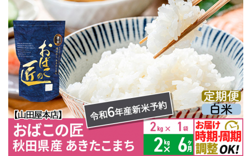 【白米】《定期便6ヶ月》令和6年産 新米予約 仙北市産 おばこの匠 2kg×6回 計12kg 6か月 6ヵ月 6カ月 6ケ月 秋田こまち お米 秋田県産あきたこまち