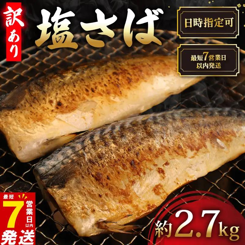 【訳あり】塩サバ 約2.7kg フィーレ 【塩さば】