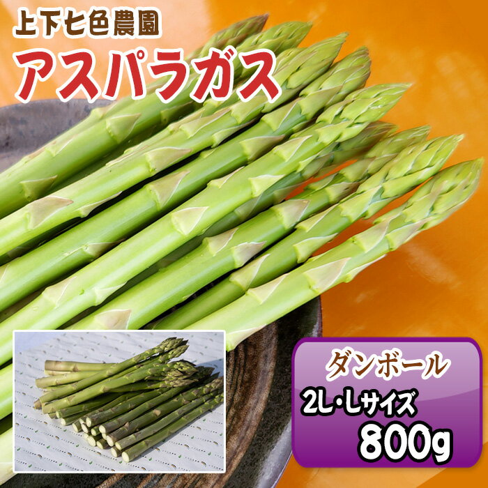 【ふるさと納税】上下七色農園 アスパラガス　2L・Lサイズ　ダンボール（800g）［No.1091］／ 物 アスパラ プレゼント お中元 送りもの 野菜 送料無料 広島県