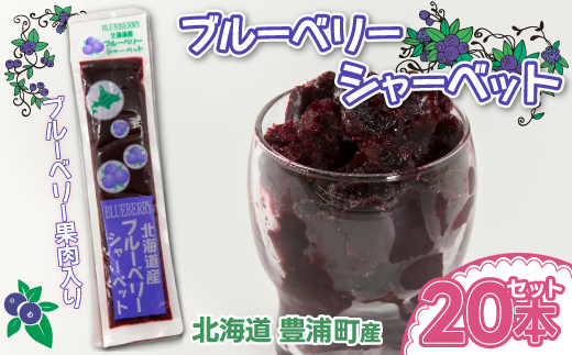 北海道 豊浦町 ブルーベリーシャーベット 20本 TYUN012