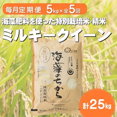
                  ＜毎月定期便＞ミルキークイーン(海藻のちから)(精米)5kg全5回_お米 米 ミルキークイーン 国産 美味しい 定期便【4075146】
                