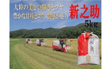 令和6年産 新潟県産 越後菅谷 新之助 5㎏【 新潟県産 新発田産 米 5kg 越後菅谷 新之助 数量限定 】D18_02