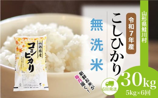＜令和7年産米＞ 鮭川村 こしひかり 【無洗米】 定期便 30kg （5kg×1ヶ月間隔で6回お届け）＜配送時期選べます＞