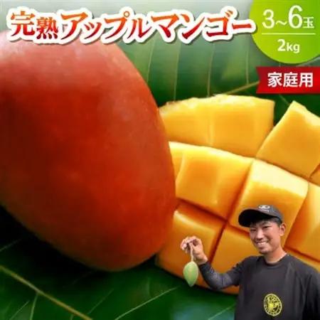 【2026年6月下旬から順次発送・家庭用】みなとばる農園の完熟アップルマンゴー2kg(3～6玉)【配送不可地域：離島】【1699990】