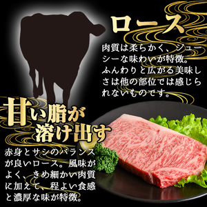 鹿児島県産A5等級黒毛和牛霜降りロースステーキ (計200g) 黒毛和牛 ロースステーキ 冷凍【KNOT】 A631