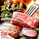 【ふるさと納税】おおいた和牛 サーロインステーキ 250g (250g×1枚) 日田市 / 株式会社OTOGINO[AREF052]