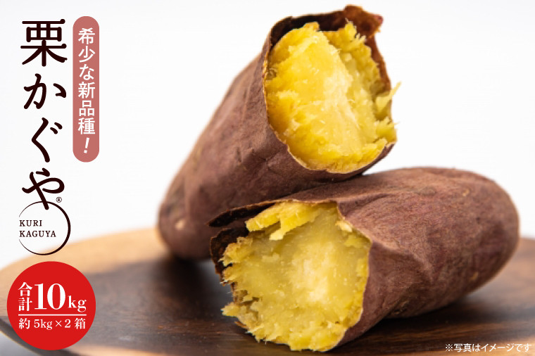 
            【2025年7月より発送】希少な新品種！７月限定「栗かぐや」さつまいも 約10kg(AE-89)
          