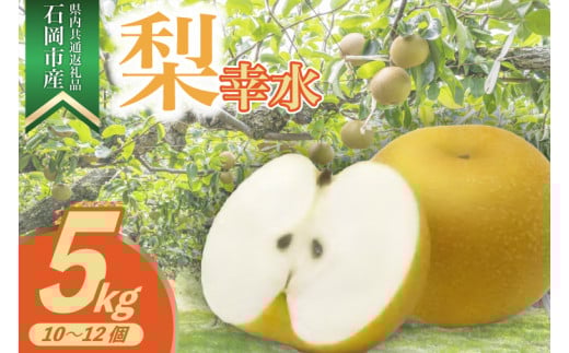 ＜2025年8月より順次発送予定＞幸水5kg 10～12個(県内共通返礼品:石岡市産) (BR039)